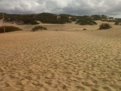 le dune di Piscinas